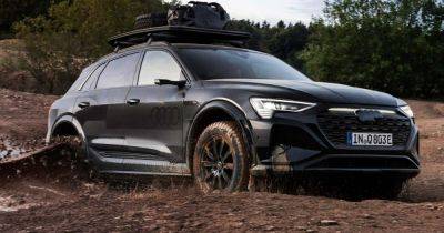 Электрокроссовер Audi получил лимитированную версию для бездорожья (фото) - focus.ua - Украина - Dakar