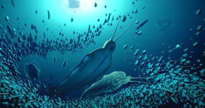 Ужасные звери. В Гренландии найдены гигантские хищные черви возрастом 518 млн лет (фото) - focus.ua - Украина - Гренландия