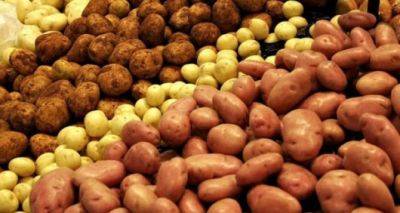 За несколько дней картошка стала значительно дороже. Аналитики назвали причину резкого повышения цены - cxid.info - Украина