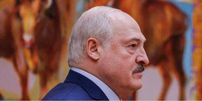 Александр Лукашенко - Лукашенко - Пожизненная охрана и денежное обеспечение. Лукашенко подписал закон, который гарантирует ему неприкосновенность после президентства - nv.ua - Украина - Белоруссия - Лукашенко