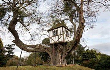 В Великобритании показали самый старый в мире домик на дереве