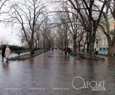 Прогноз погоды в Одессе 5 января 2024 года | Новости Одессы