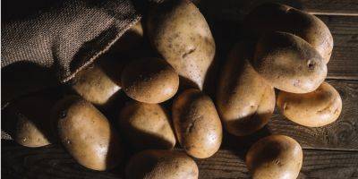 Пролежит до лета. Как хранить картофель дома, чтобы он не перемерз и не пророс: простые советы - nv.ua - Украина