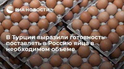 В Турции выразили готовность полгода поставлять в Россию яйца в нужном объеме