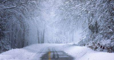 Мороз - Мороз, метели, до 30 см снега: синоптики предупредили об ухудшении погоды - dsnews.ua - Украина