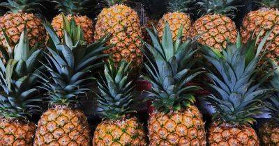 Здоровье всего организма в одном фрукте: полезные свойства ананаса - focus.ua - Украина