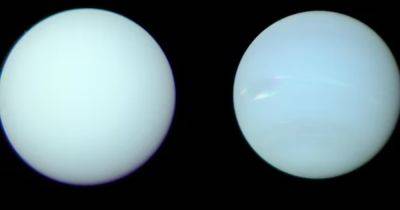 Ученые выяснили настоящий цвет Нептуна: он лишь немного отличается от цвета Урана (фото)