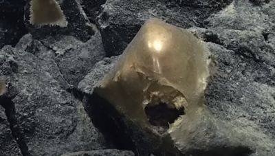 Прям какая-то мистика: ученые нашли на дне океана загадочный шар золотого цвета - hyser.com.ua - Украина - Англия - шт.Аляска
