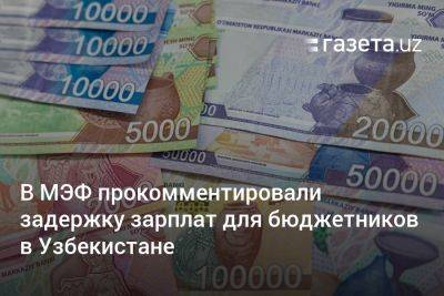 В МЭФ прокомментировали задержку зарплат для бюджетников в Узбекистане