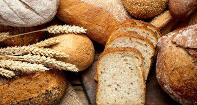 Пекари обратились за помощью к правительству иначе хлеб будет дорожать - cxid.info - Словакия