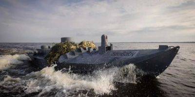 «Максимальная дистанция — один километр». Экс-заместитель начальника штаба ВМС Украины назвал дополнительное оружие, которое могли установить на Sea Baby