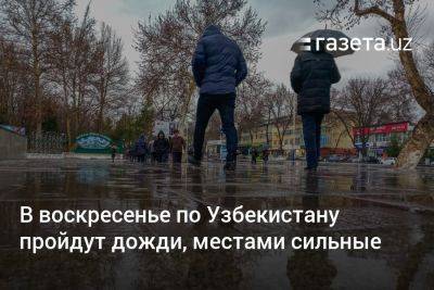 В воскресенье по Узбекистану пройдут дожди, местами сильные