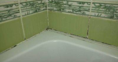 Как удалить на плитке в ванной ржавчину, плесень и мыльные разводы: поможет это средство