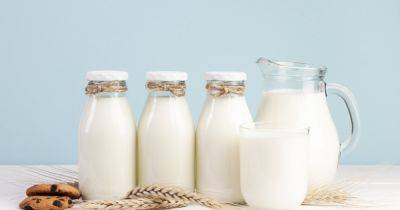 Полезно или вредно: 8 развенчанных мифов о молоке