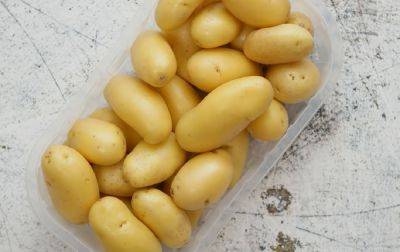 Есть простой фокус, который не даст корнеплоду потемнеть: как сохранить очищенный картофель светлым и красивым