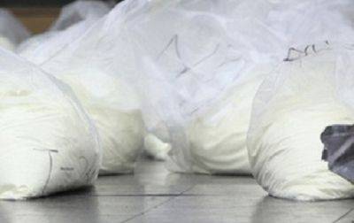 Луис Арсе - В Боливии изъяли более восьми тонн кокаина - korrespondent.net - Украина - Испания - Голландия - Боливия - Ирландия