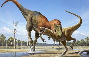 Ученые подтвердили существование «нанотиранозавров»