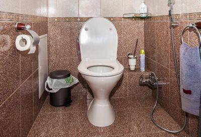 И перед гостями будет не стыдно: 6 эффективных способов избавиться от неприятного запаха в туалете