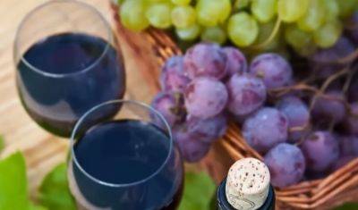 Вас больше не обманут: основные правила, которые помогут распознать подделку при выборе вина
