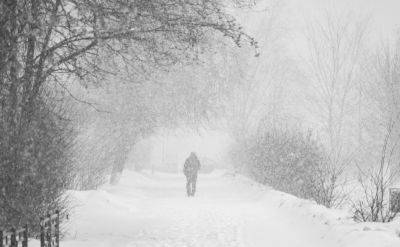 Снег, гололедица и мороз до -23 градусов: в Украине резко ухудшится погода