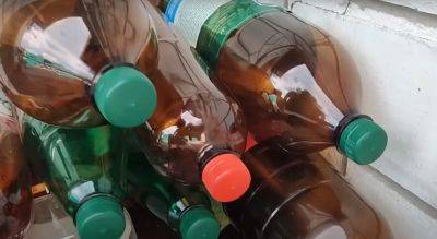 Как повторно использовать пластиковые бутылки: лучшие способы