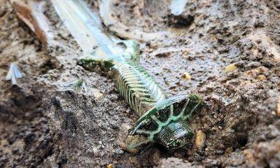 ​В Германии нашли бронзовый меч в захоронении, которому более 3 тыс. лет – фото