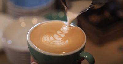 Как быстро вывести кофейное пятно: три простых, но действенных способа
