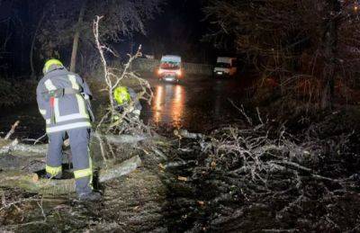 Непогода ворвалась на Днепропетровщину, появились кадры: заблокированные жители, деревья на авто и ледяной трэш