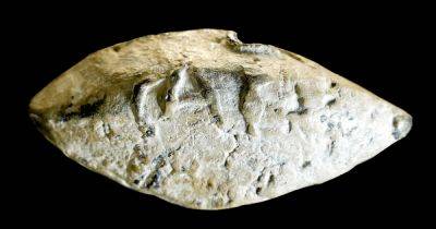 Отголоски древней битвы: археологи нашли имя Юлия Цезаря на шаре для пращи (фото)