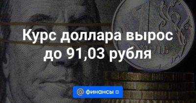 Курс доллара вырос до 91,03 рубля