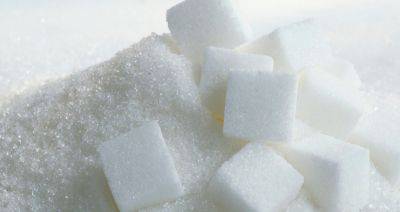 Продукция сахарной отрасли обеспечила четверть экспорта БУТБ в сегменте АПК