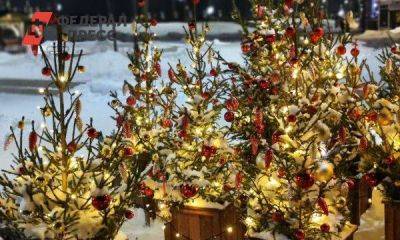 Свердловчанам рассказали, как правильно утилизировать новогоднюю елку