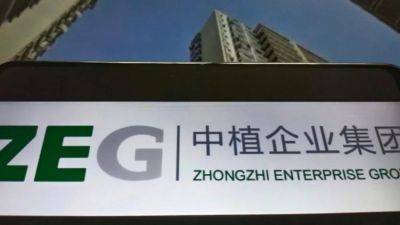 Китайский финансовый конгломерат Zhongzhi Enterprise подал заявление о банкротстве