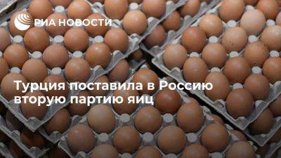 Владимир Путин - Дмитрий Патрушев - Россельхознадзор: Турция поставила в РФ вторую партию яиц - smartmoney.one - Россия - Турция - Азербайджан - Россельхознадзор