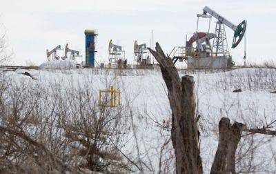 В России назвали среднюю цену на нефть Urals за год
