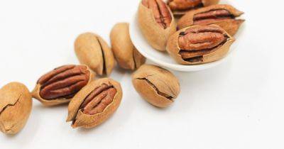 Легкодоступные и полезные: диетологи назвали 10 богатых белком орехов и семян