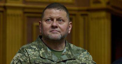 Запад не отвечает на запросы Залужного: генерал США о военной помощи Украине