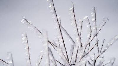 Когда потеплеет и будут ли снова морозы – прогноз с 11 по 15 января