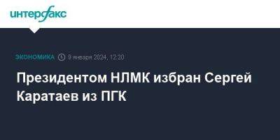Сергей - Президентом НЛМК избран Сергей Каратаев из ПГК - smartmoney.one - Москва