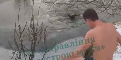 В Ирпене мужчина спас собаку из ледяной воды — видео