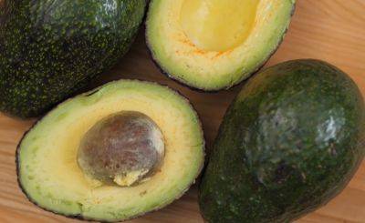 Секреты авокадо: как правильно хранить этот продукт