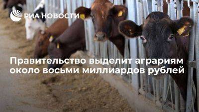Мишустин: правительство выделит около 8 млрд рублей для фермерских хозяйств