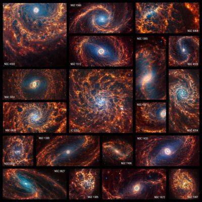 Исследователи собрали в коллаж 19 снимков близлежащих галактик, запечатлённых «Джеймсом Уэббом»