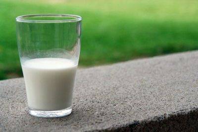 Два типа молока, которые разрушают микробиому кишечника