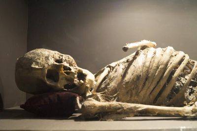 Ученые обнаружили опасную болезнь в 3500-летнем скелете - cursorinfo.co.il - Египет