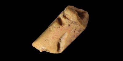 В США нашли артефакт возрастом в 13 тысяч лет, принадлежащий древней культуре