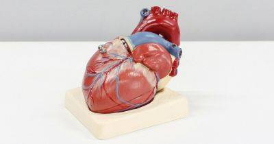 Болезнь, убивающая незаметно: что такое синдром разбитого сердца и как с ним бороться