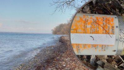 Мужчина нашел огромную торпеду с мигающим индикатором на берегу недалеко от Нью-Йорка - 24tv.ua - США - Нью-Йорк
