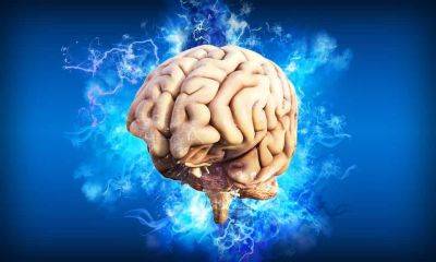 Три продукта, которые повреждают мозг и вызывают деменцию