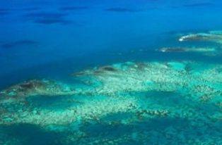 На Земле больше коралловых рифов, чем считалось ранее